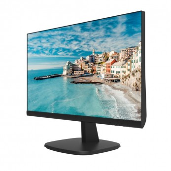 DS-D5024FN 24'' TFT monitor