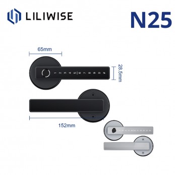 N25 Smart Handle Lock