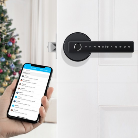 N25 Smart Handle Lock