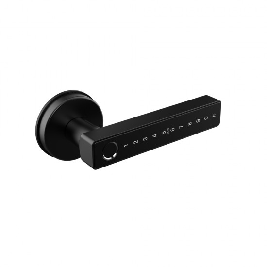 N25 Smart Handle Lock