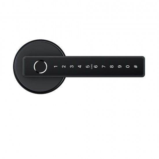 N25 Smart Handle Lock