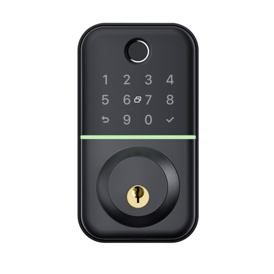 T17 Fully Automatic Smart Lock