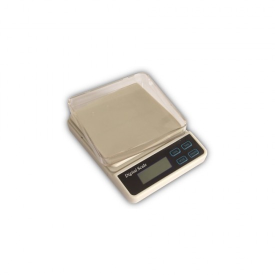 H2C Digital Precision scale